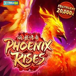 Phoenix Rises