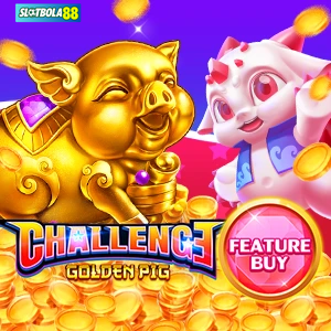 challange golden pig