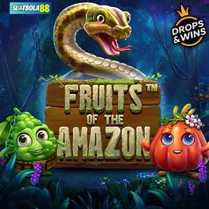 fruitsoftheamazonys